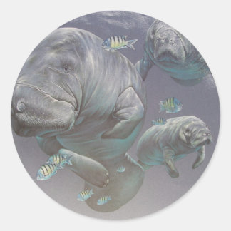 Manatee Family Classic Round Sticker