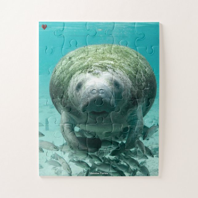 Manatee Florida Jigsaw Puzzle (Vertical)
