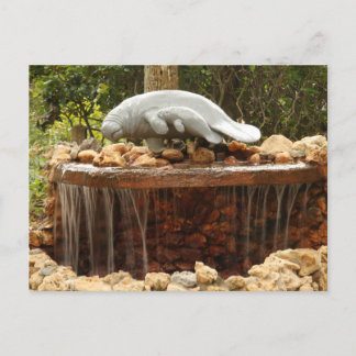 Manatee Fountain Postcard