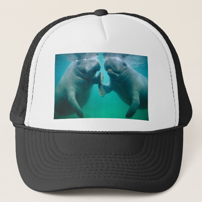manatee hate trucker hat (Front)