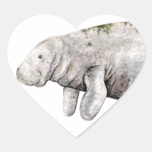Manatee Heart Sticker