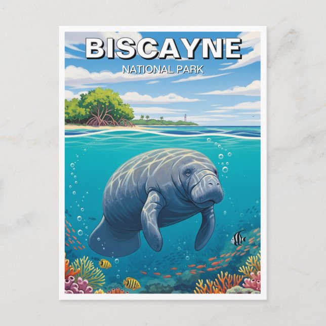Manatee in Biscayne National Park Postcard (Front)