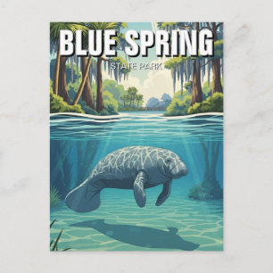Manatee in Blue Spring State Park Postcard