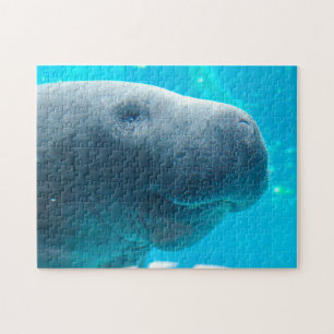 Manatee in Florida Jigsaw Puzzle