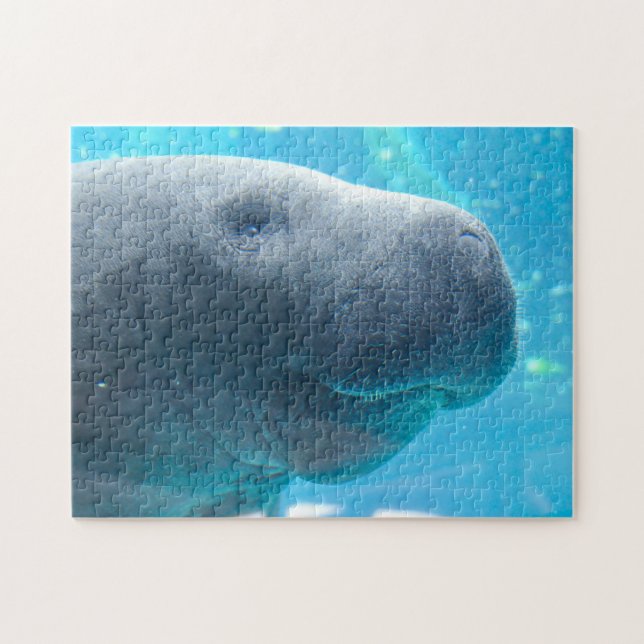 Manatee in Florida Jigsaw Puzzle (Horizontal)