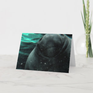 Manatee Kiss Card