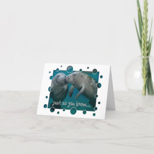 Manatee Love Valentine's Day Holiday Card