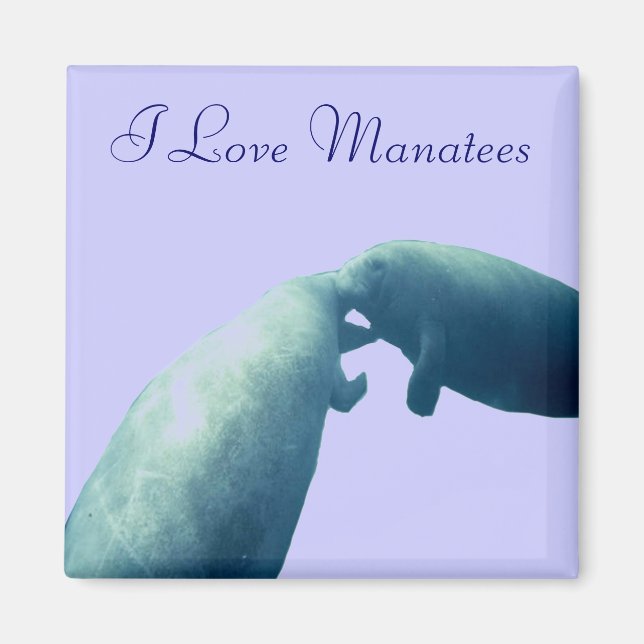 Manatee Magnet (Front)