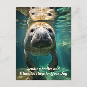 Manatee Marvel: Customisable Manatee Holiday Postcard