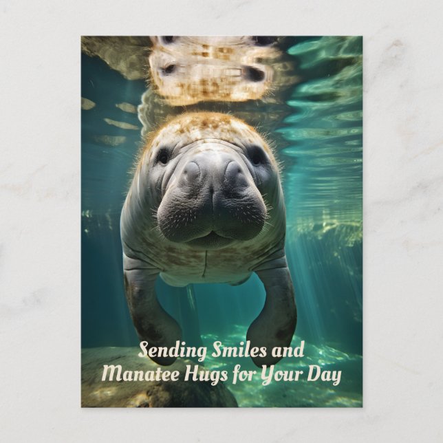 Manatee Marvel: Customisable Manatee Holiday Postcard (Front)