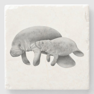 Manatee Mother with Calf Stone Coaster