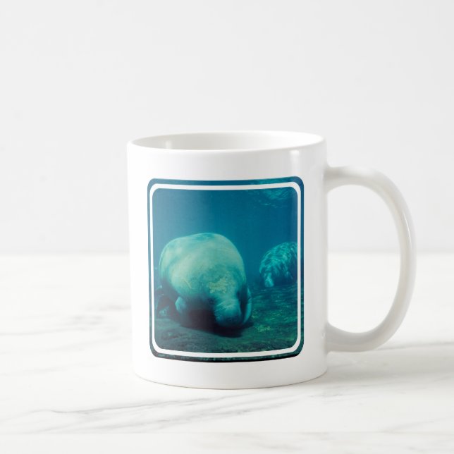 Manatee Photo  Coffee Mug (Right)