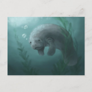 Manatee Postcard