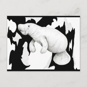 Manatee Postcard
