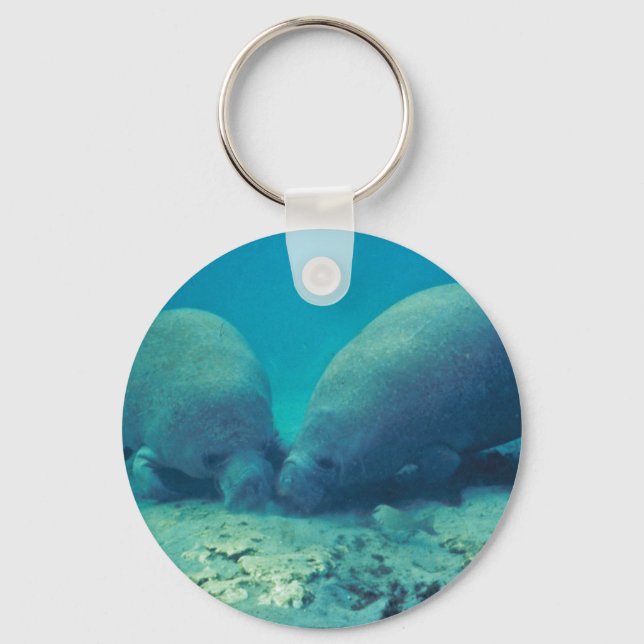 Manatee Rooting in Sand Key Ring (Front)