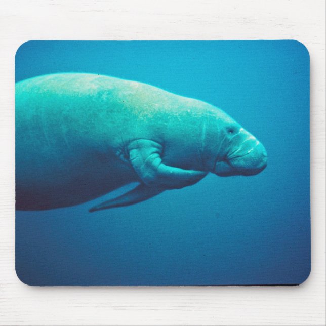 Manatee Scratching Mouse Pad (Front)
