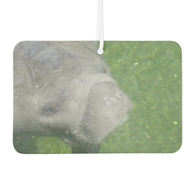 Manatee Smiles Car Air Freshener (Front)