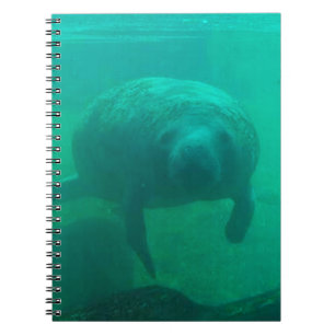Manatee Spiral Photo Notebook