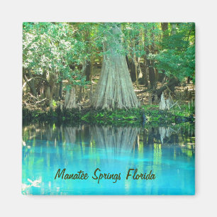 Manatee Springs Magnet