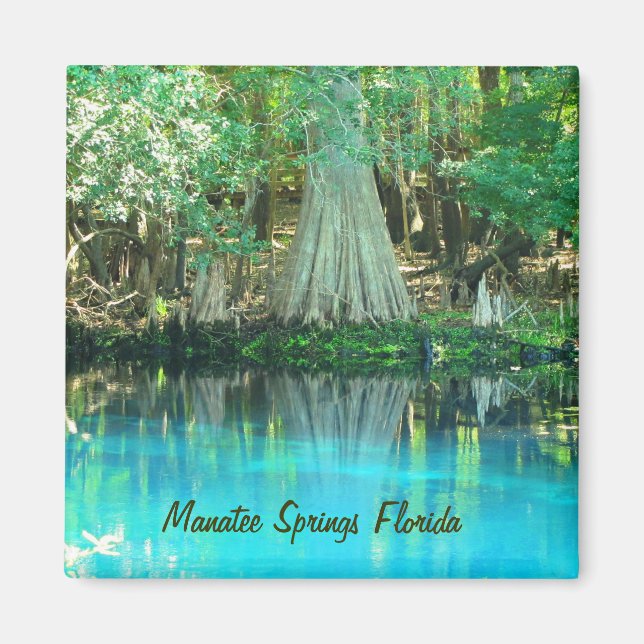 Manatee Springs Magnet (Front)