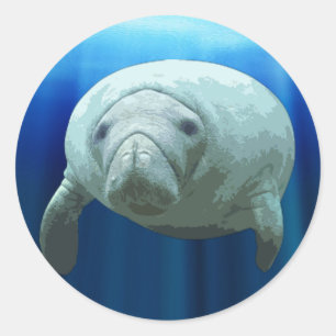Manatee Sticker