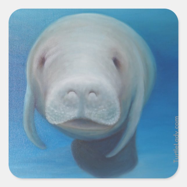 Manatee Stickers (Front)