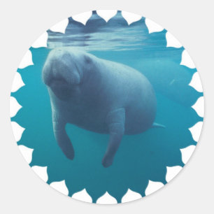 Manatee Stickers