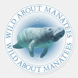 Manatee Stickers