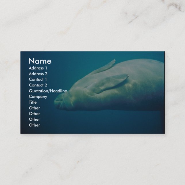 Manatee Stretching Business Card (Front)