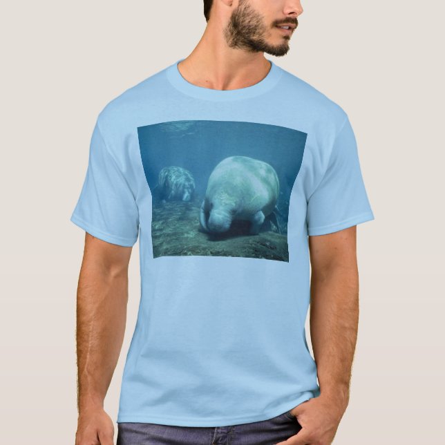 Manatee T-Shirt (Front)