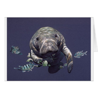 Manatee Underwater World