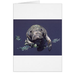 Manatee Underwater World