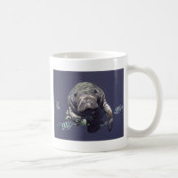 Manatee Underwater World