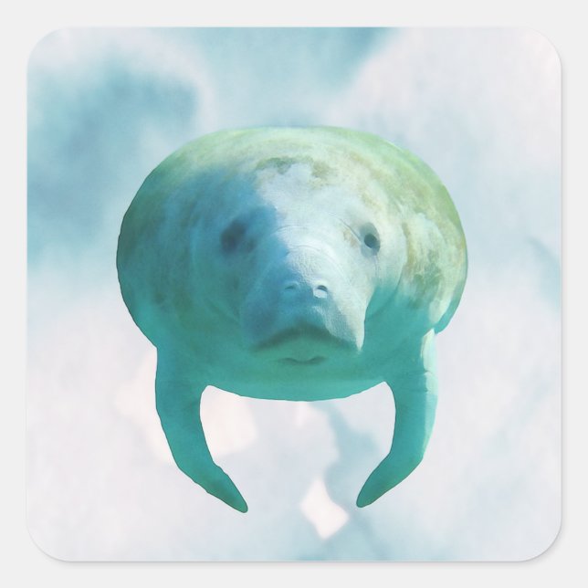 Manatee Watercolor  Square Sticker (Front)