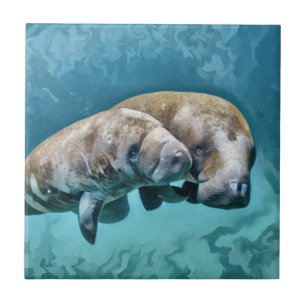 Manatees Ceramic Tile