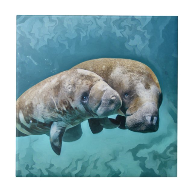 Manatees Ceramic Tile (Front)