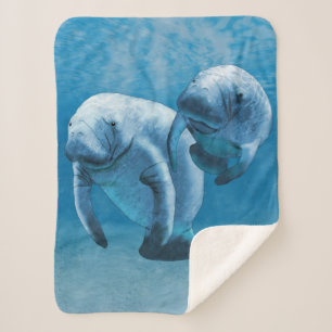 Manatees Sherpa Blanket