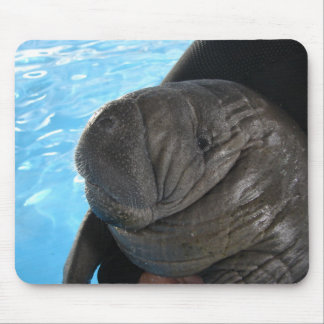 Manati SMP04 Mouse Pad