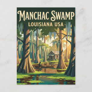 Manchac Swamp USA Postcard