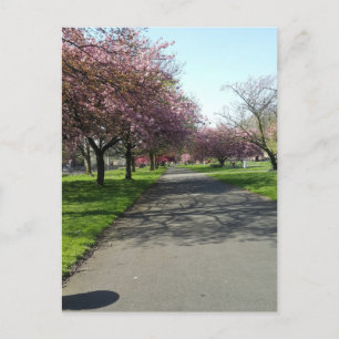 Manchester in Spring Postcard