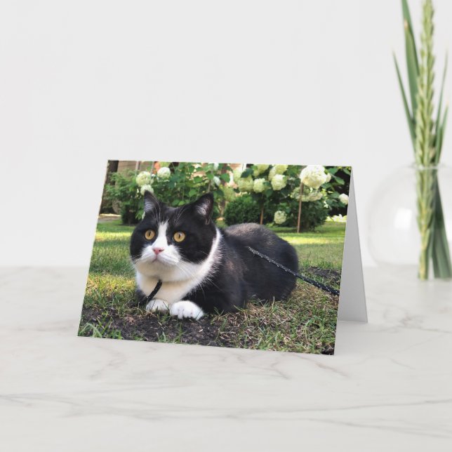 Manchester on nature card (Front)