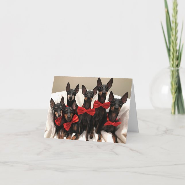 Manchester Terrier Card (Front)