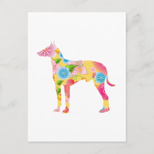 Manchester Terrier Postcard