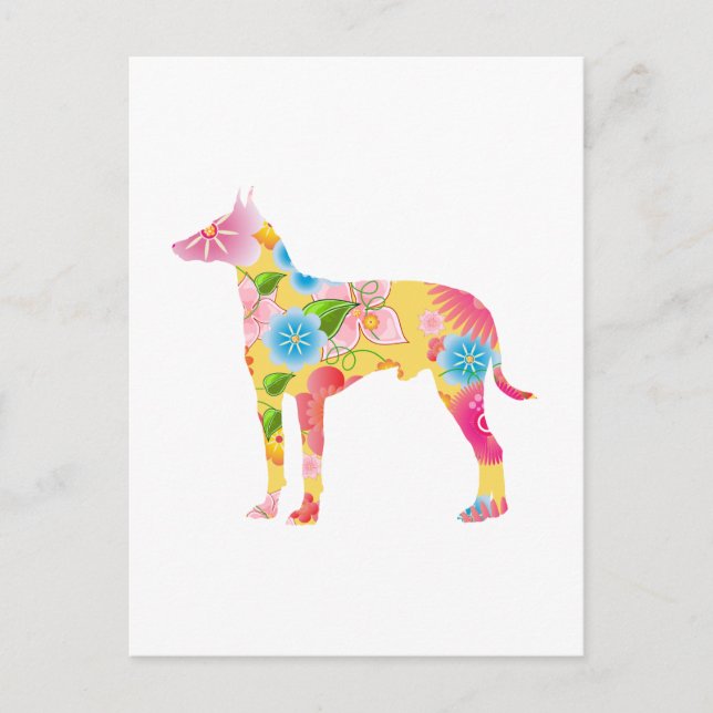 Manchester Terrier Postcard (Front)