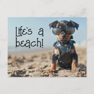Manchester Terrier Puppy wearing sunglasses Postcard