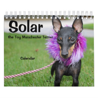 Manchester Terrier Small 2021 Calendar A
