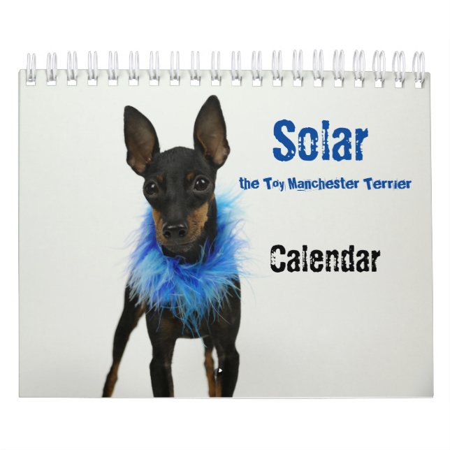 Manchester Terrier Small Calendar (Cover)