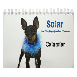 Manchester Terrier Small Calendar 2021 B