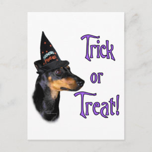 Manchester Terrier Trick Postcard