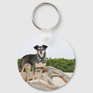 Manchester Terrier X - Jordan - Derr Key Ring